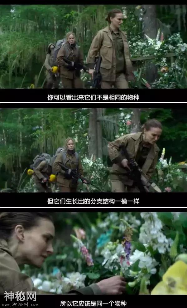 这部最近大热的科幻片，到底是神作还是神棍作？-32.jpg