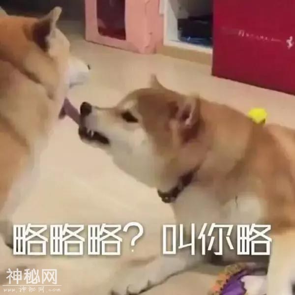这部最近大热的科幻片，到底是神作还是神棍作？-54.jpg