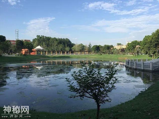 新全优教育：这所名不见经传的学校，去年居然有一半学生考上重本-5.jpg