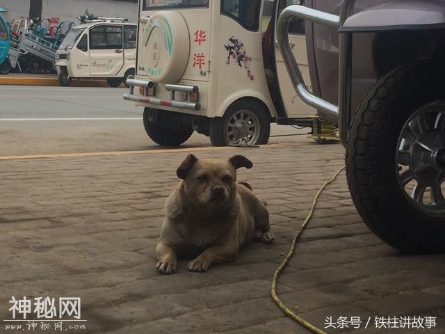 丈夫的“功劳”（幽默故事）-1.jpg