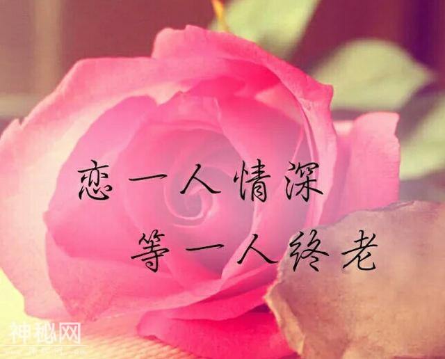 最好的爱情，认认真真在一起，心甘情愿只为你-1.jpg