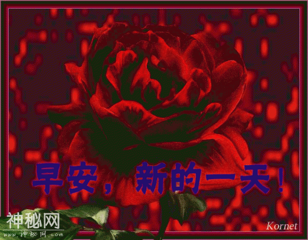唱给所有你想珍惜的人，我愿一直祝福你-5.jpg