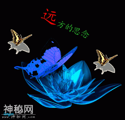 唱给所有你想珍惜的人，我愿一直祝福你-9.jpg