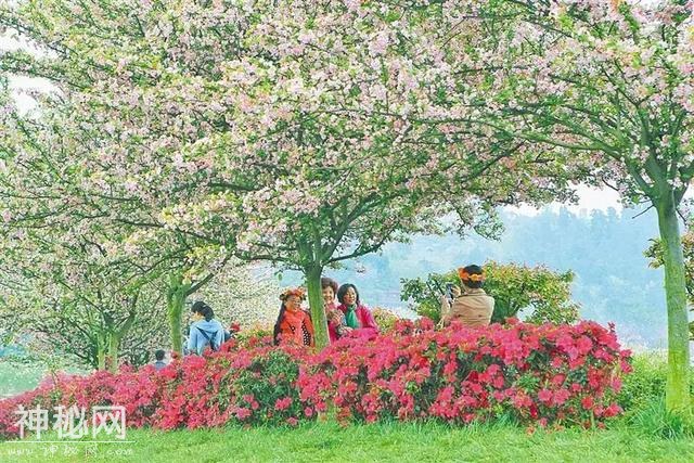 「锦江之眼」“公园城市”怎么建？期待您来提意见！-2.jpg