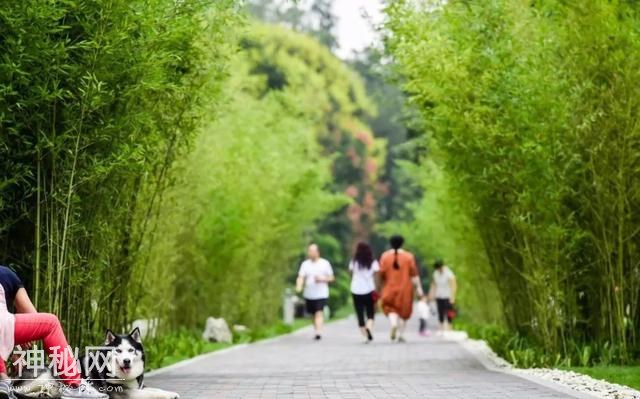 「锦江之眼」“公园城市”怎么建？期待您来提意见！-3.jpg