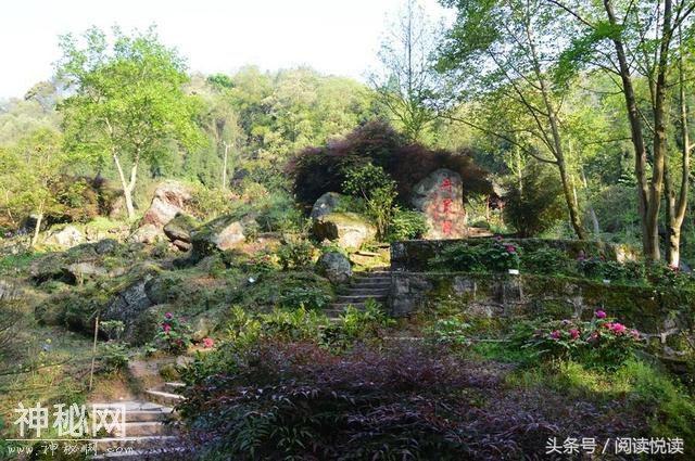 故乡情歌——诗意彭州之天彭牡丹甲天下-3.jpg