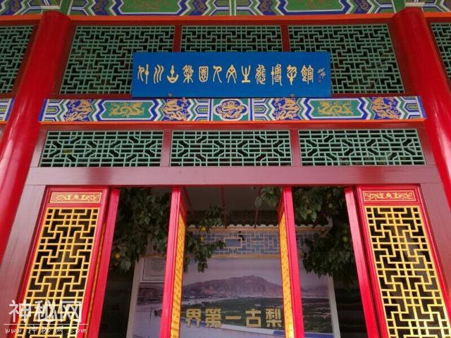 皋兰县什川古梨园人文生态博物馆开馆-1.jpg