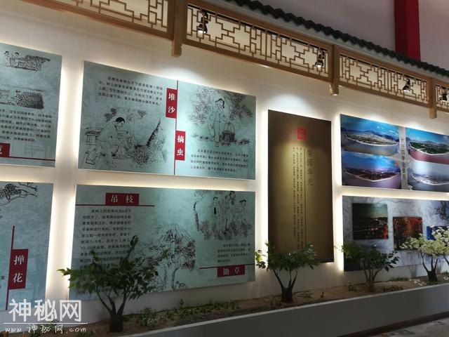 皋兰县什川古梨园人文生态博物馆开馆-2.jpg