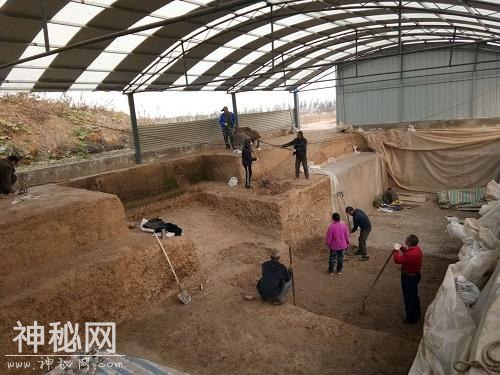 仅葬马头，不葬马身！ 叶县楚墓发现更另类“拆车葬”-1.jpg