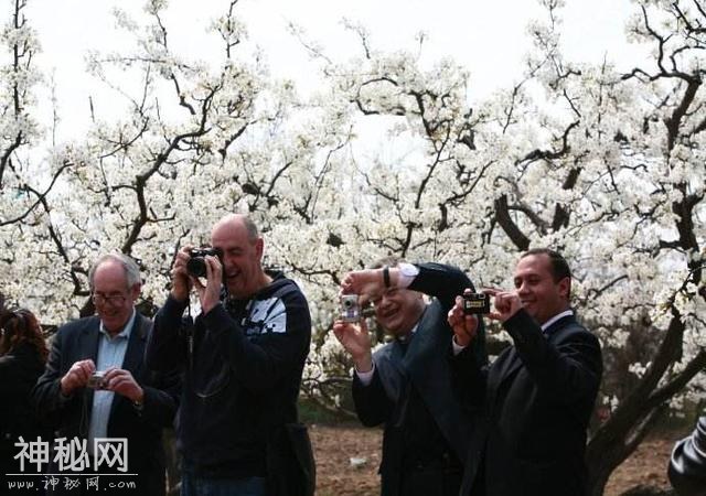 【紧锣密鼓迎盛会】 第29届梨花会暨第8届民俗文化节活动丰富-4.jpg