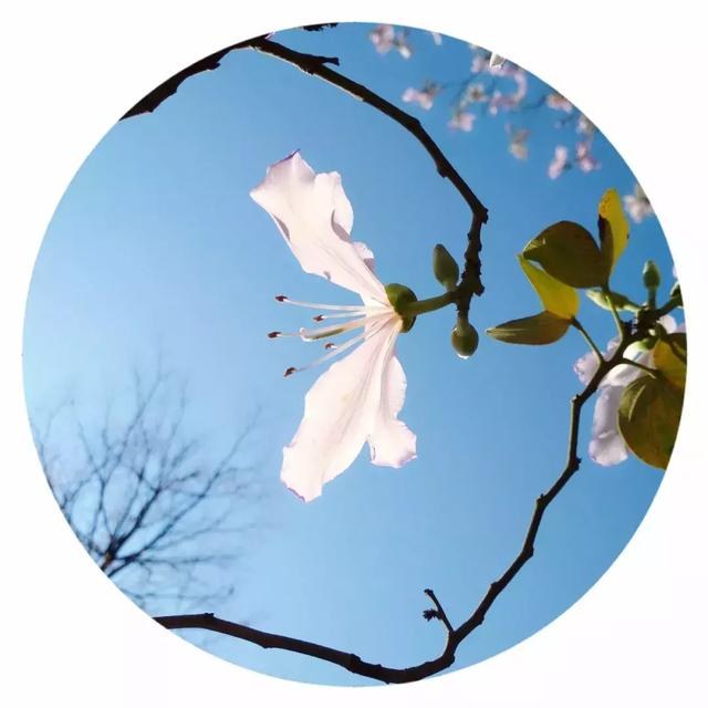 为什么三月不适合减肥，这是我看到最好的答案-5.jpg