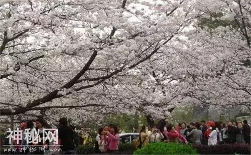 “全国最小山”，到底是怎么回事-8.jpg