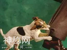 “全国最小山”，到底是怎么回事-3.jpg