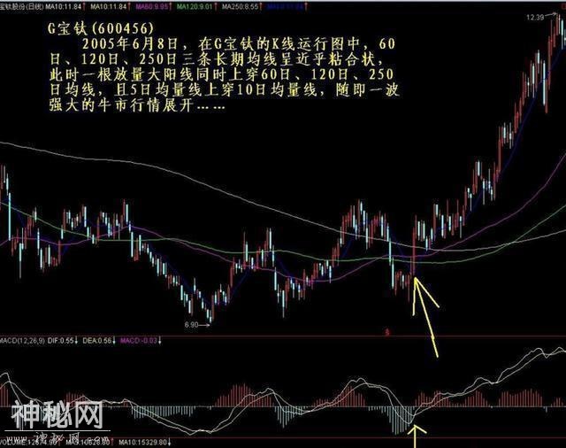 一位操盘手的选黑马股绝技：只用一招便可“黑马腾飞”，只服这篇-2.jpg