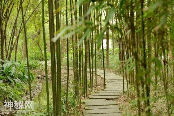 22天9000多公里自驾北京到珠峰 长腿美女和胖欧巴的蜜月之旅！-18.jpg