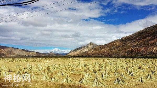 22天9000多公里自驾北京到珠峰 长腿美女和胖欧巴的蜜月之旅！-49.jpg