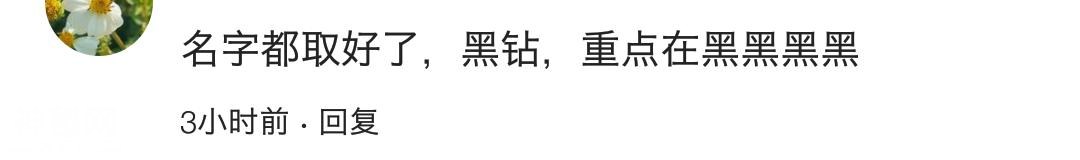 网易星球黑猪肉天秀中国网友？评论区网友绝地反击！-11.jpg
