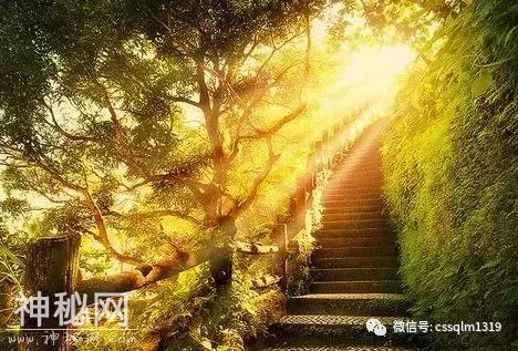 微故事：“特殊司机”-3.jpg