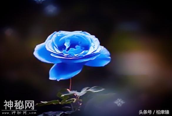 累就累了，苦就苦了，所谓幸福，用的都是心，靠的全是情-1.jpg