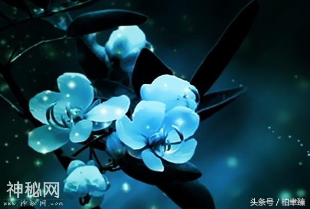 累就累了，苦就苦了，所谓幸福，用的都是心，靠的全是情-2.jpg