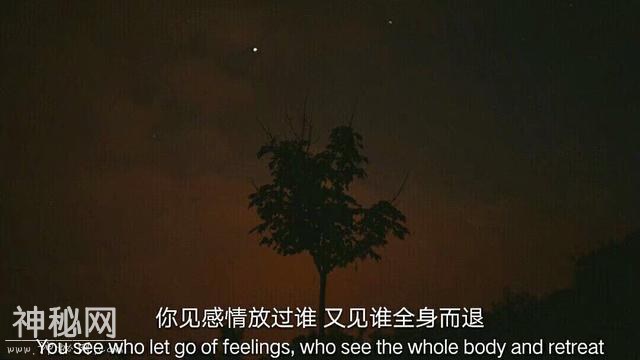 电影台词：你知道我最中意的人是你啊-12.jpg