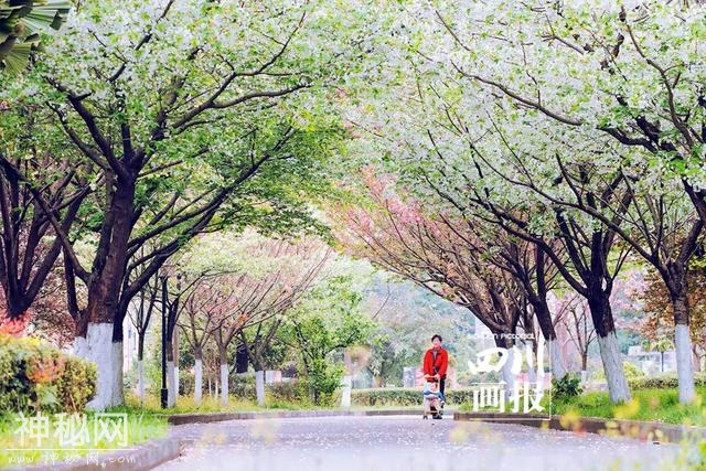 四川画报主题征稿入选作品公布，哪张“年味”照片是您拍的？-15.jpg