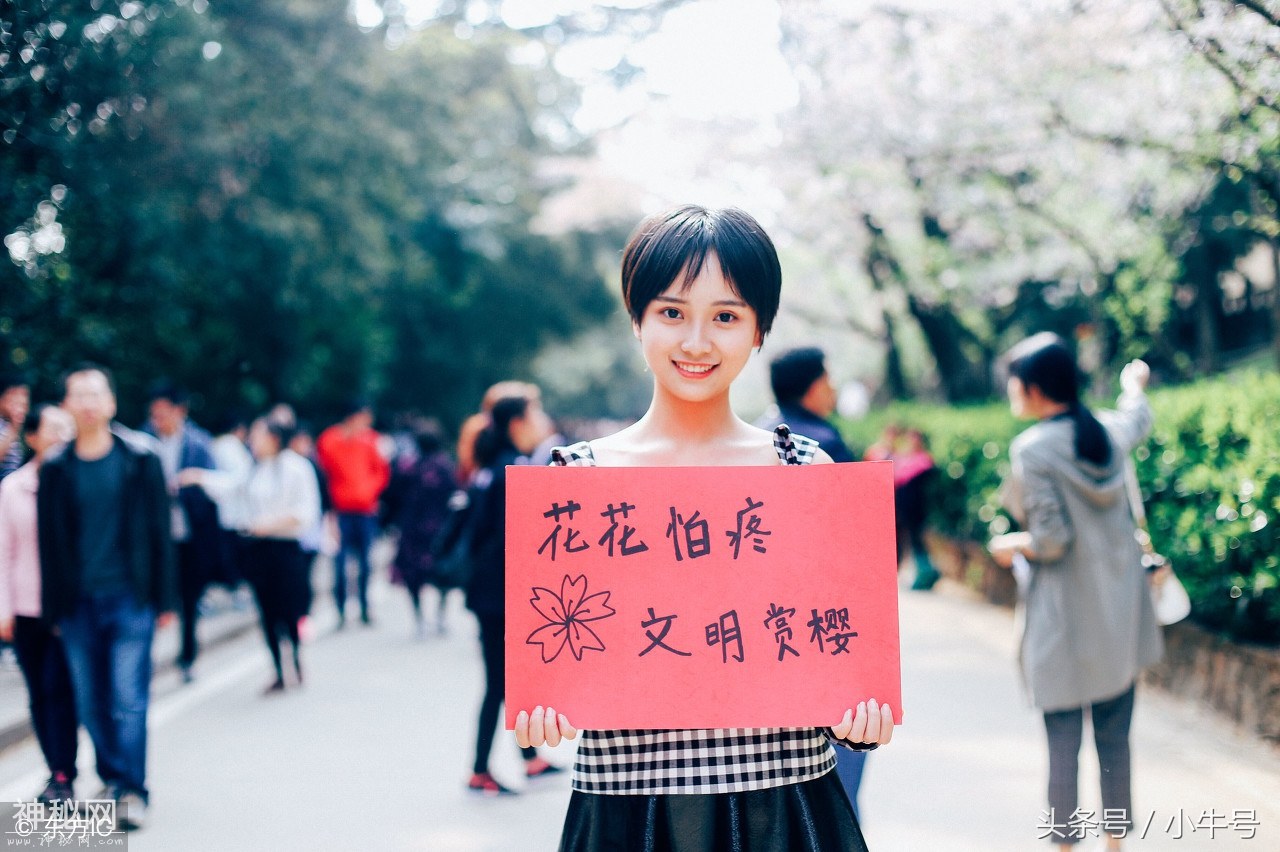 武大遭遇樱花劫引学子不满 美女校花举牌呼吁文明赏花-1.jpg
