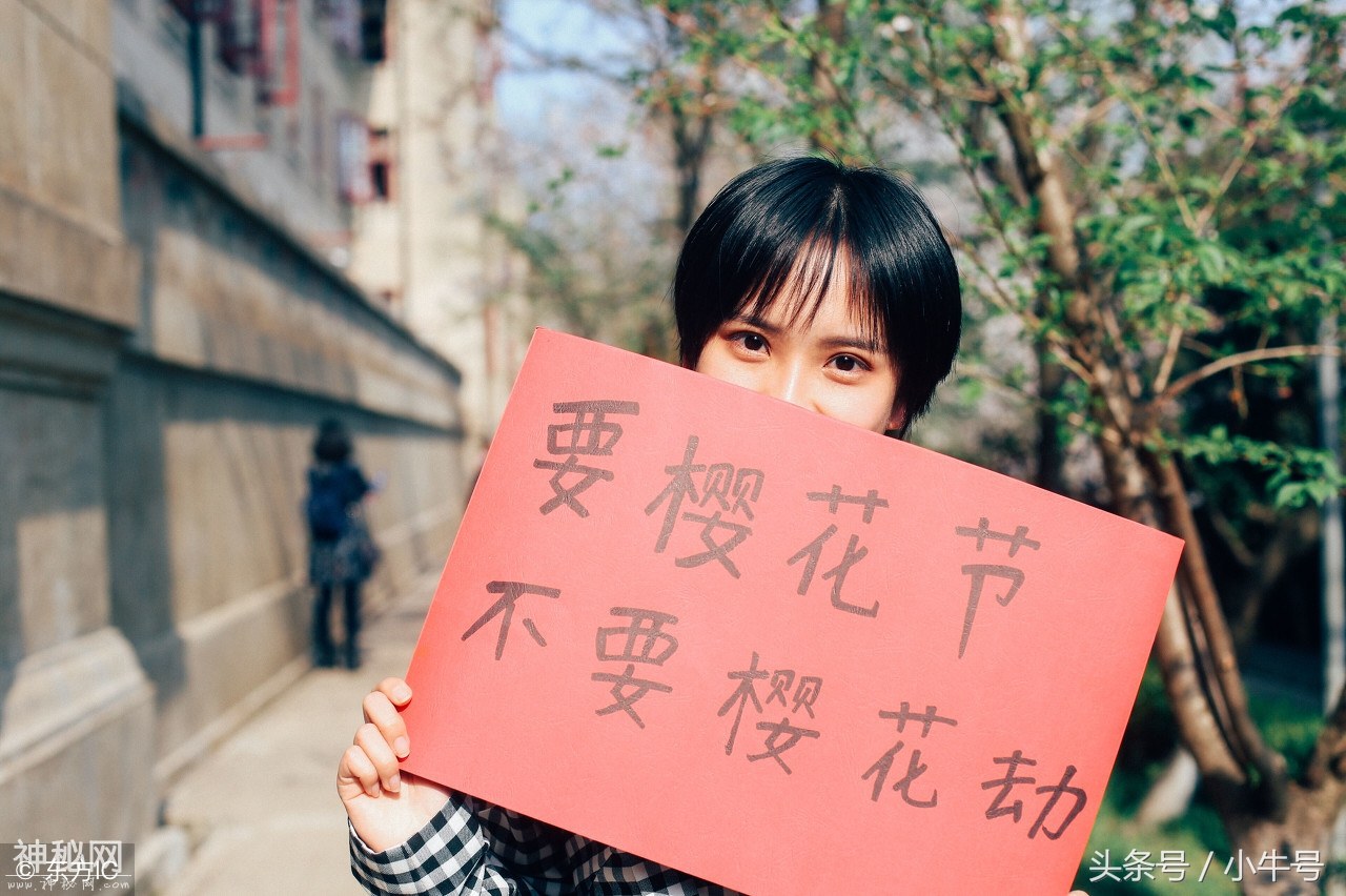 武大遭遇樱花劫引学子不满 美女校花举牌呼吁文明赏花-3.jpg