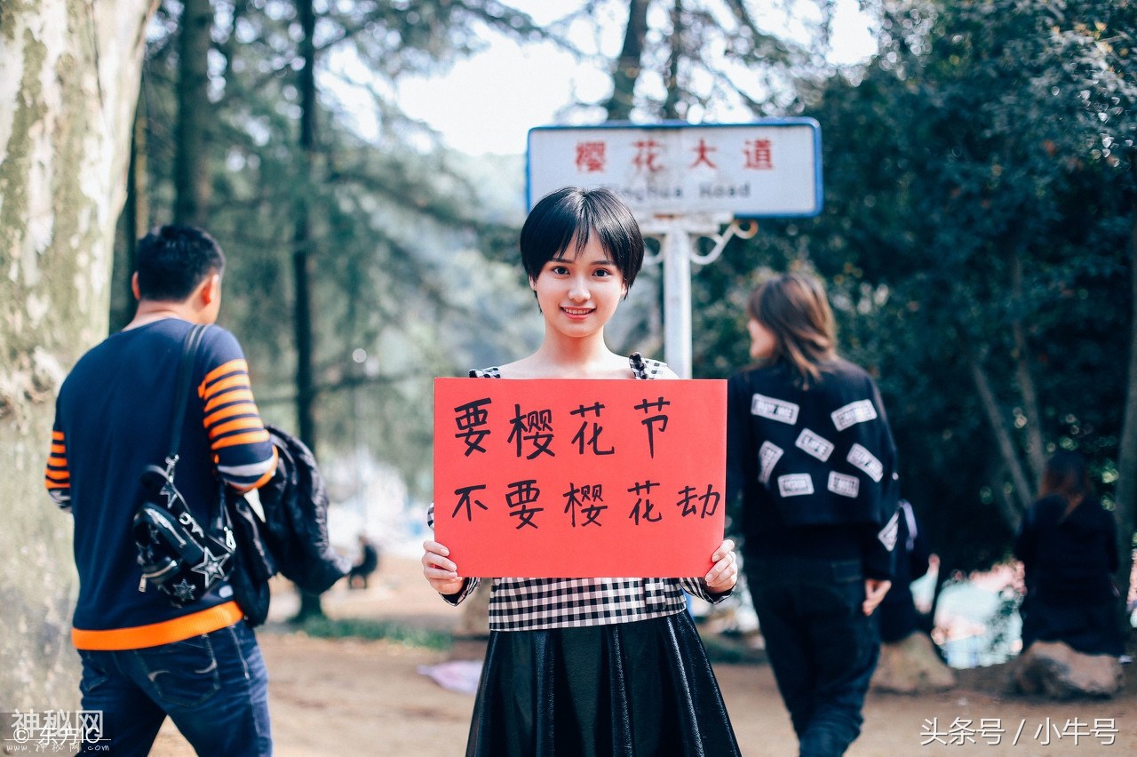 武大遭遇樱花劫引学子不满 美女校花举牌呼吁文明赏花-4.jpg