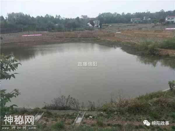 今年我市三个乡镇将实施“土地整治+”项目试点-3.jpg