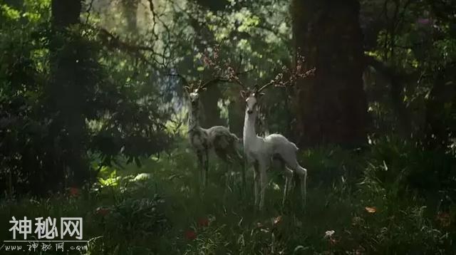 2018最美科幻片？看完《湮灭》开始怀疑人生-18.jpg