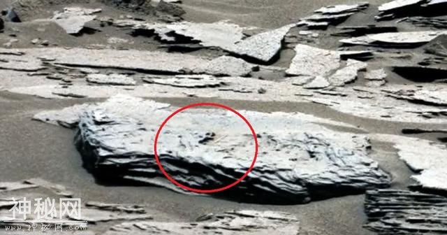 火星文明的证据！你不会相信火星上UFO猎人的9大发现-4.jpg