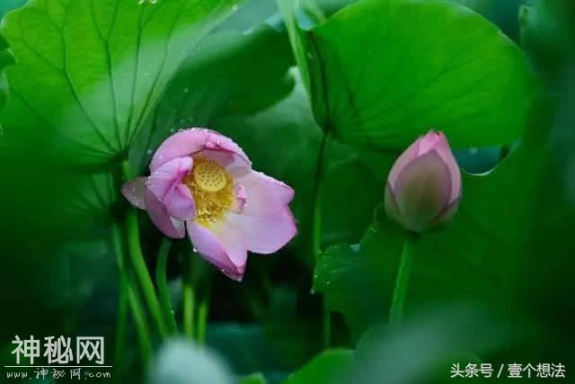 6句心情语录，句句走心，值得分享给身边的朋友-4.jpg