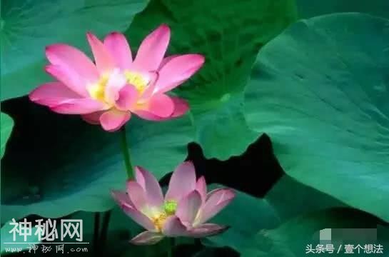 6句心情语录，句句走心，值得分享给身边的朋友-1.jpg