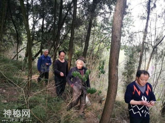 德阳60岁老人失踪2年 竟在安岳树林独自生活1年多-1.jpg