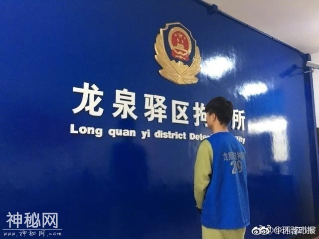 柯基犬被摔死事件最新进展：当事双方均被行拘7天-3.jpg