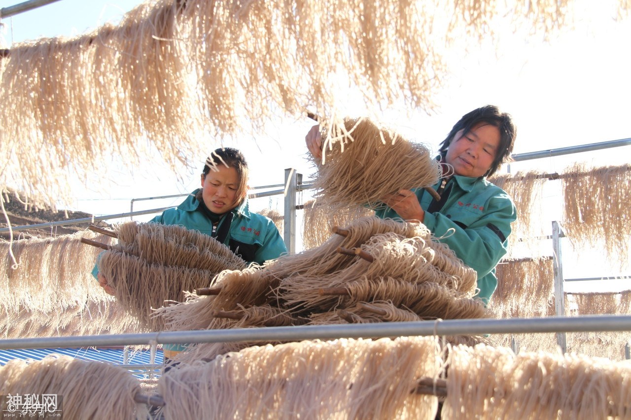 民俗摄影丨传统手艺——漏粉条-10.jpg