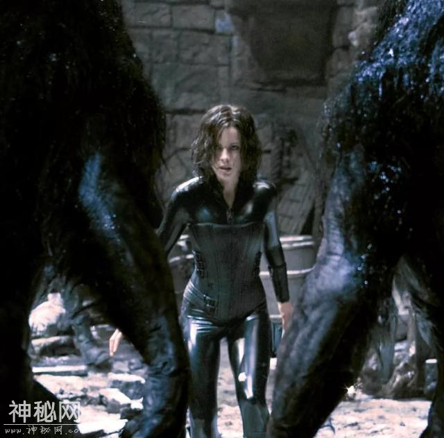 欧美电影：推荐3部美国科幻片，科幻片拯救世界！-3.jpg