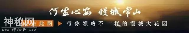 云梯花海、民俗文艺……常山这个地方的春天美翻了-6.jpg