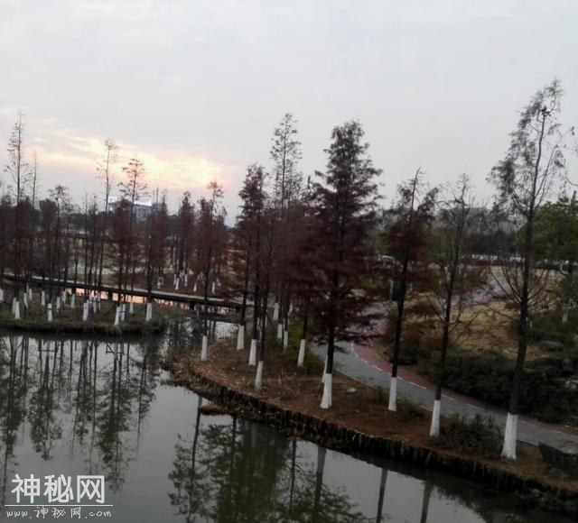 发现美景！-1.jpg