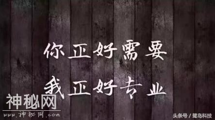 支付宝芝麻信用分还是一分不涨？马云：你应该是这些方法没掌握！-2.jpg