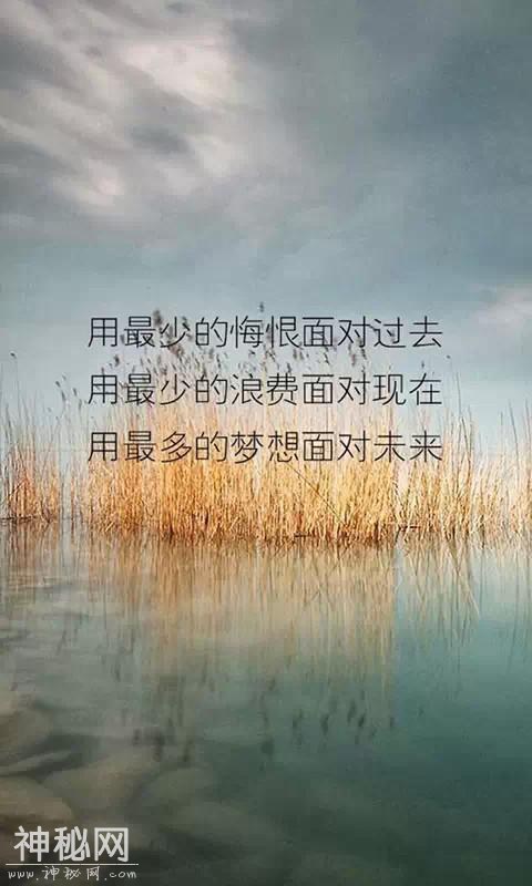 LEACREE力克锐减震器为何经久不衰-1.jpg