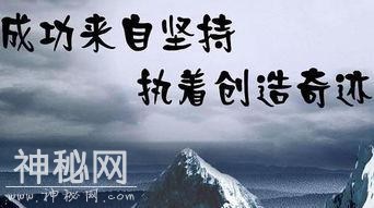 LEACREE力克锐减震器为何经久不衰-3.jpg