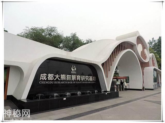 为什么都说成都的宽窄巷子是在坑人？成都人告诉你答案！-23.jpg