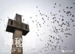 历史不容忘却 共筑美好未来-4.jpg