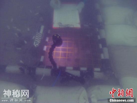 考古人员发现7000年前美国原住民祖先墓地-3.jpg
