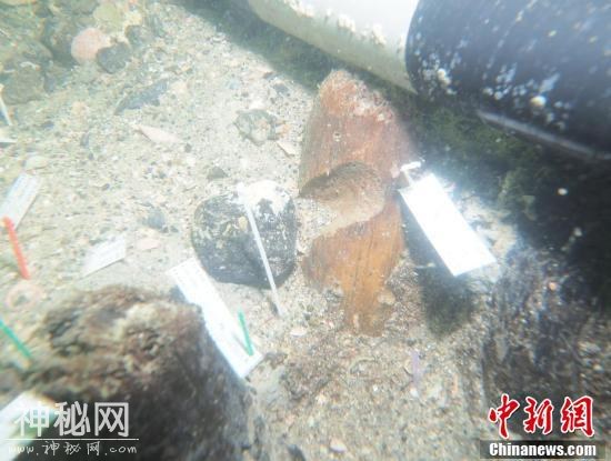 考古人员发现7000年前美国原住民祖先墓地-2.jpg