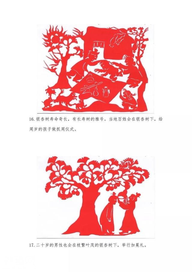 黄继婷剪纸连环画：沂河两岸的银杏崇拜与风俗-9.jpg