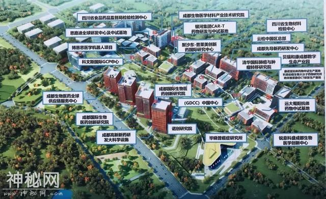 中央森林公园、国际幼儿园等11个项目在成都开工-6.jpg