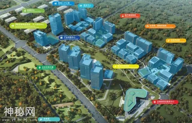 中央森林公园、国际幼儿园等11个项目在成都开工-11.jpg
